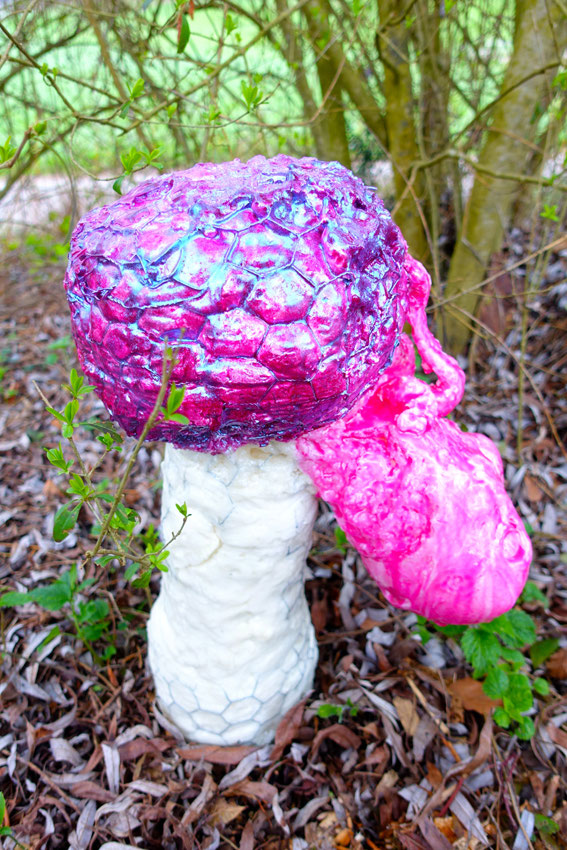 Tricholoma Matsutake Myu-tanto
