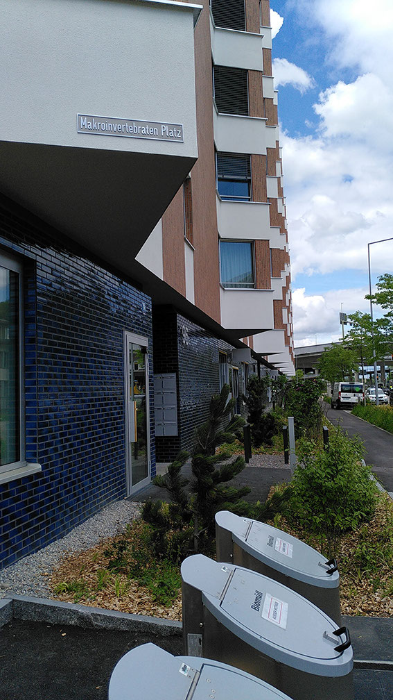 «Die Starken», Kunst und Bau