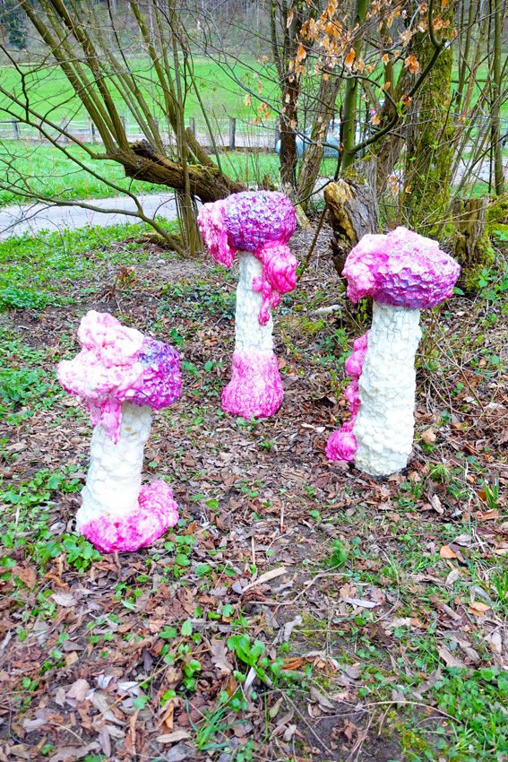Tricholoma Matsutake Myu-tanto