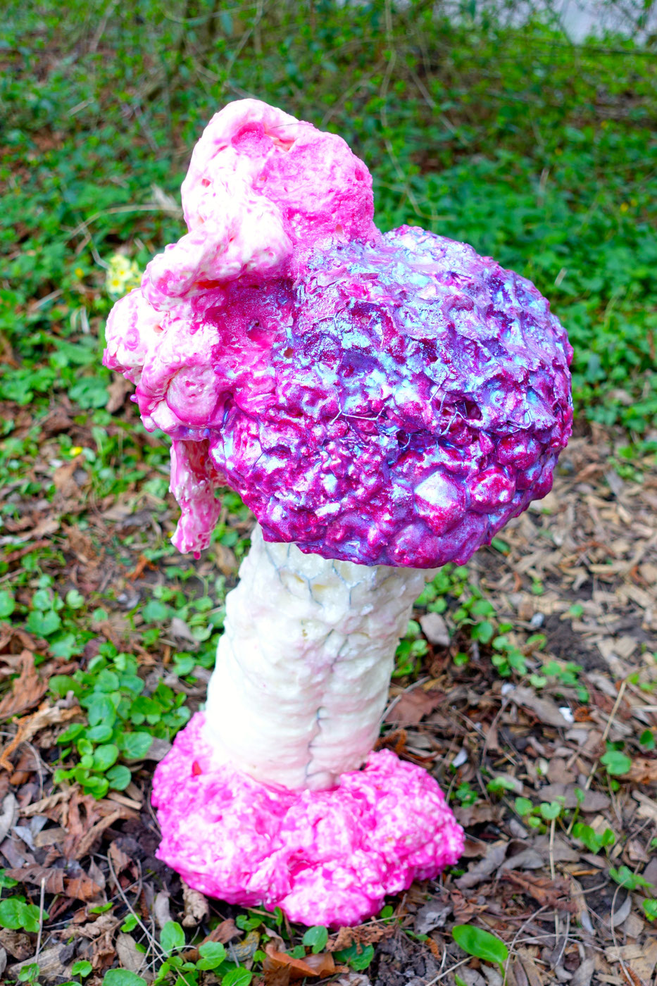 Tricholoma Matsutake Myu-tanto