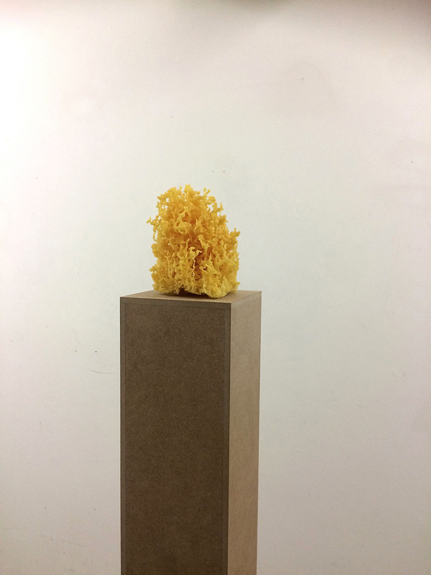 WAX